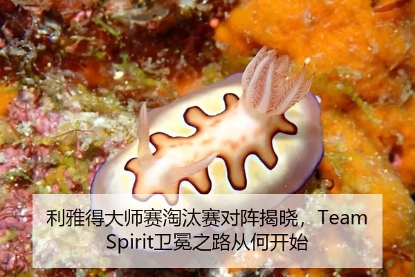 利雅得大师赛淘汰赛对阵揭晓，Team Spirit卫冕之路从何开始